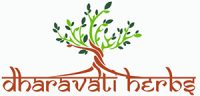 DHARAVATI-LOGO